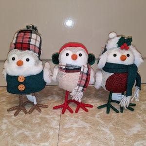 Rare Christmas/Winter Bird's!